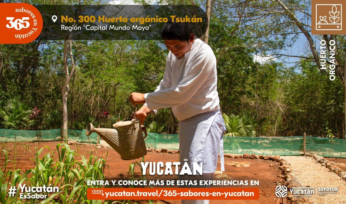 campaña sabores yucatan experiencias culinarias