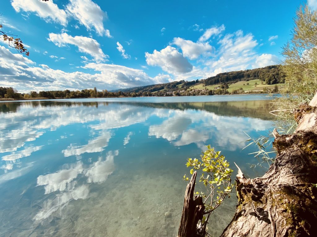 Cantón de Argovia enamórate de este pueblito suizo