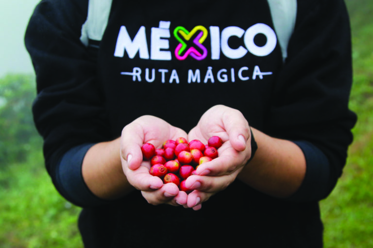 mexico-ruta-magica-bioruta-del-café