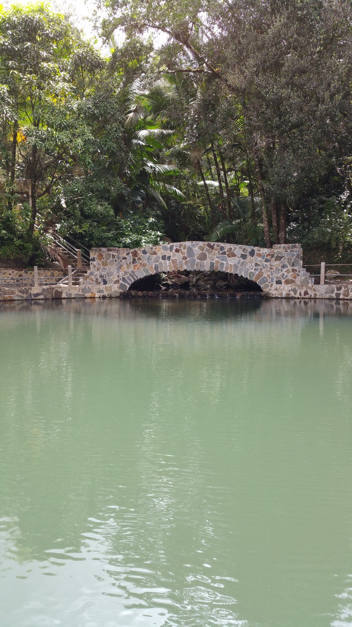 puente piscina bosque nacional el yunque