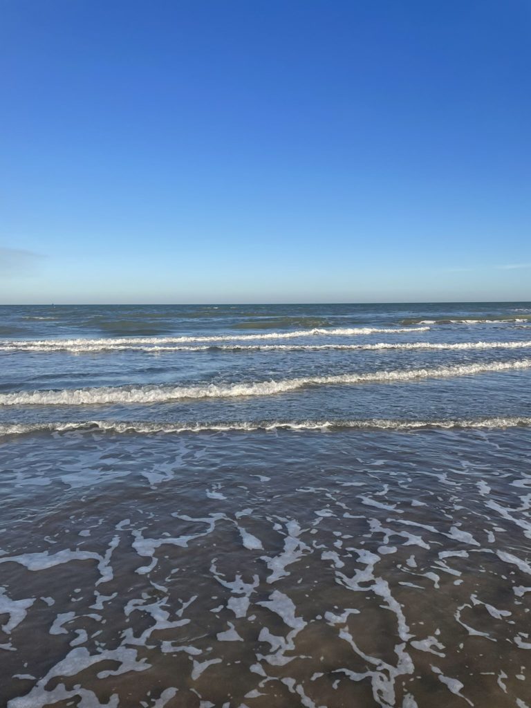 tamaulipas-playa-bagdad-ecoturismo-que-hacer