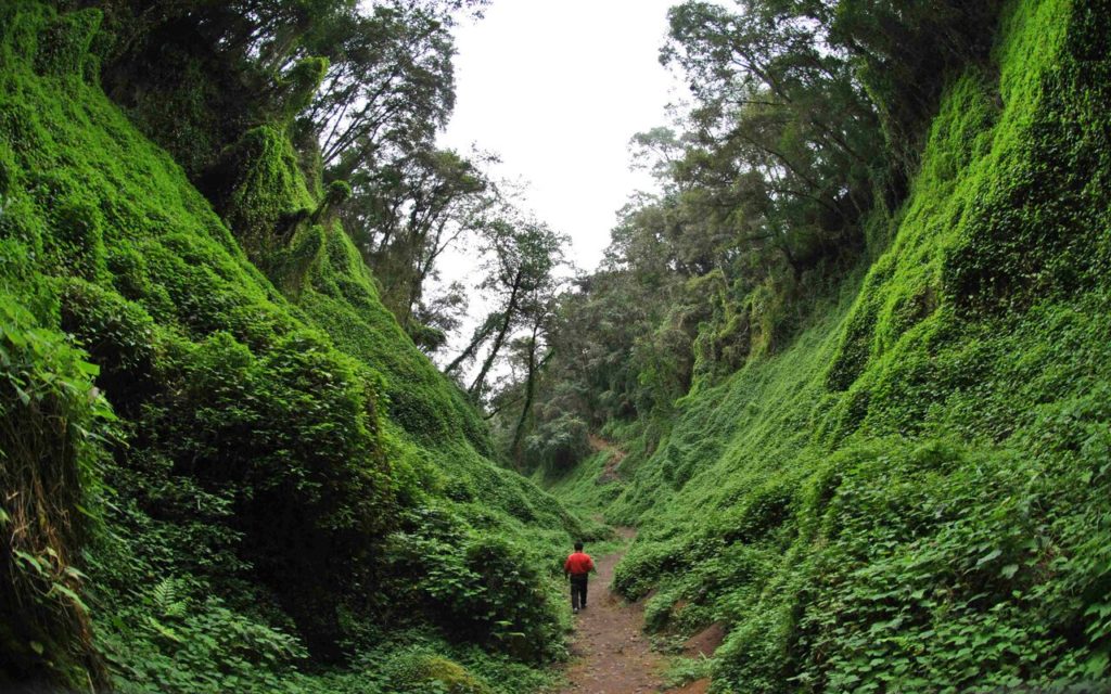 actividades clima pancho poza en veracruz