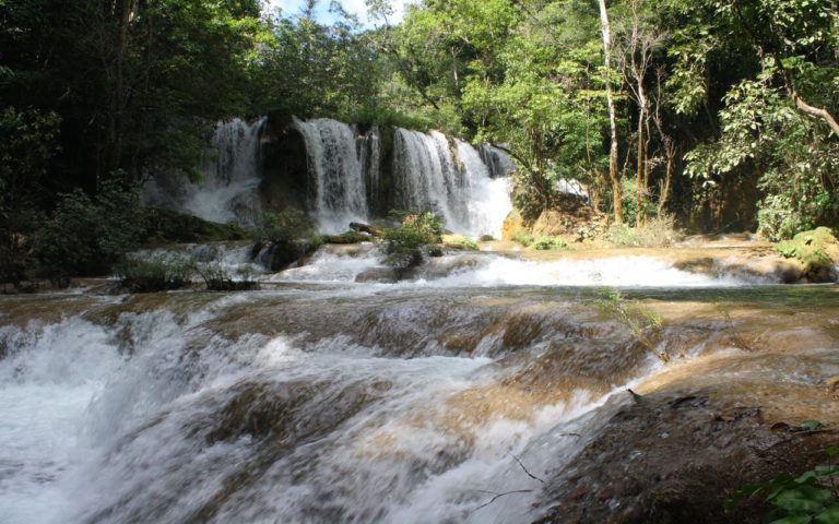 Eco Parque Agua Selva, un lugar para realizar ecoturismo en Tabasco