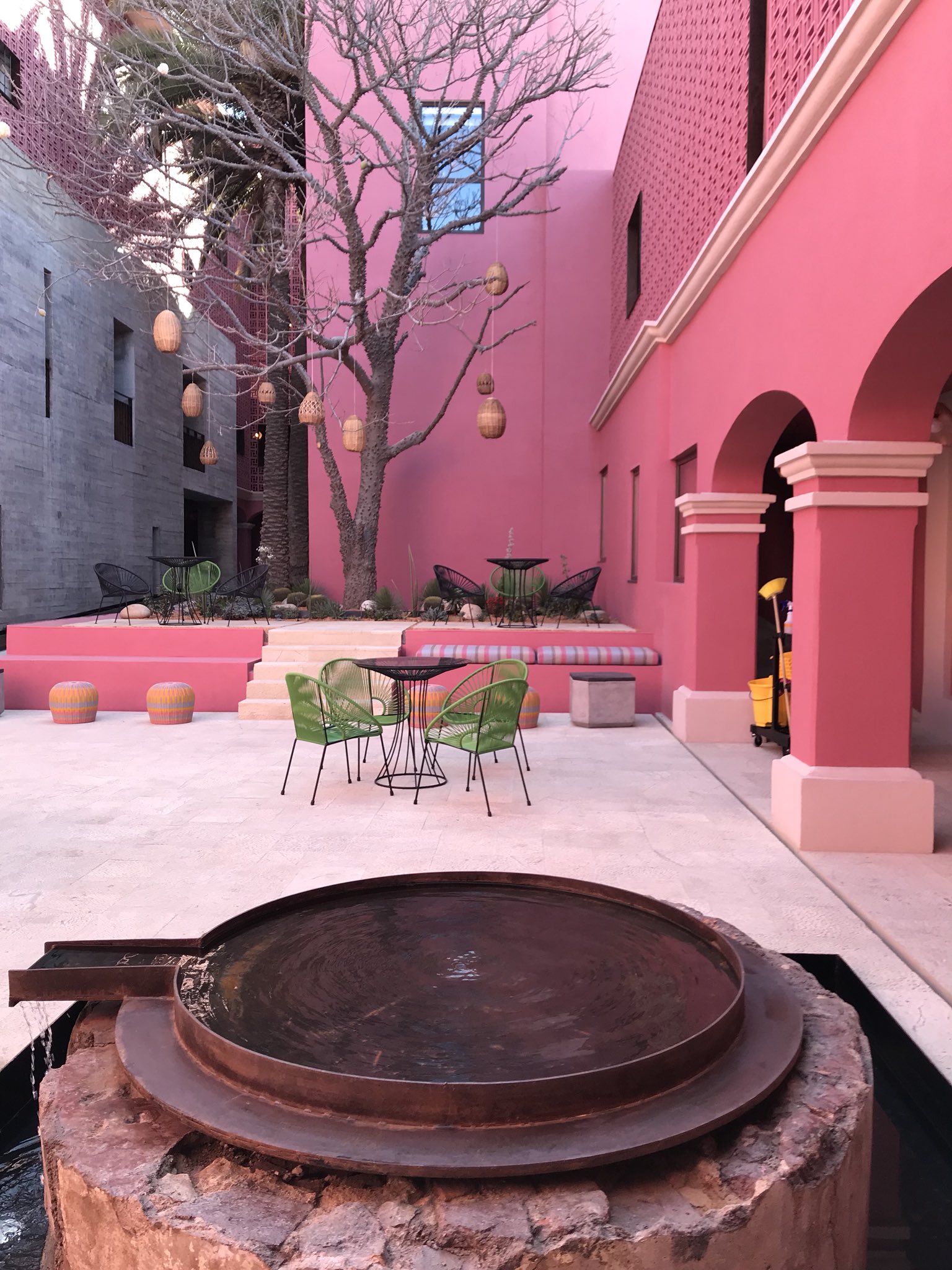 hotel rosa city centro oaxaca
