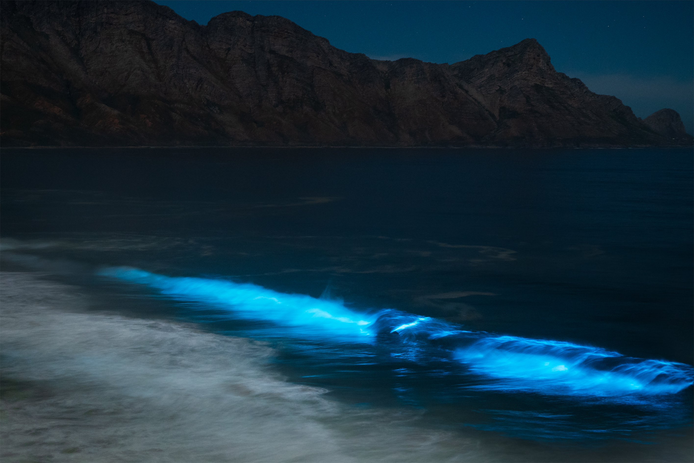 bioluminiscencia en zicatela surfear puerto escondido