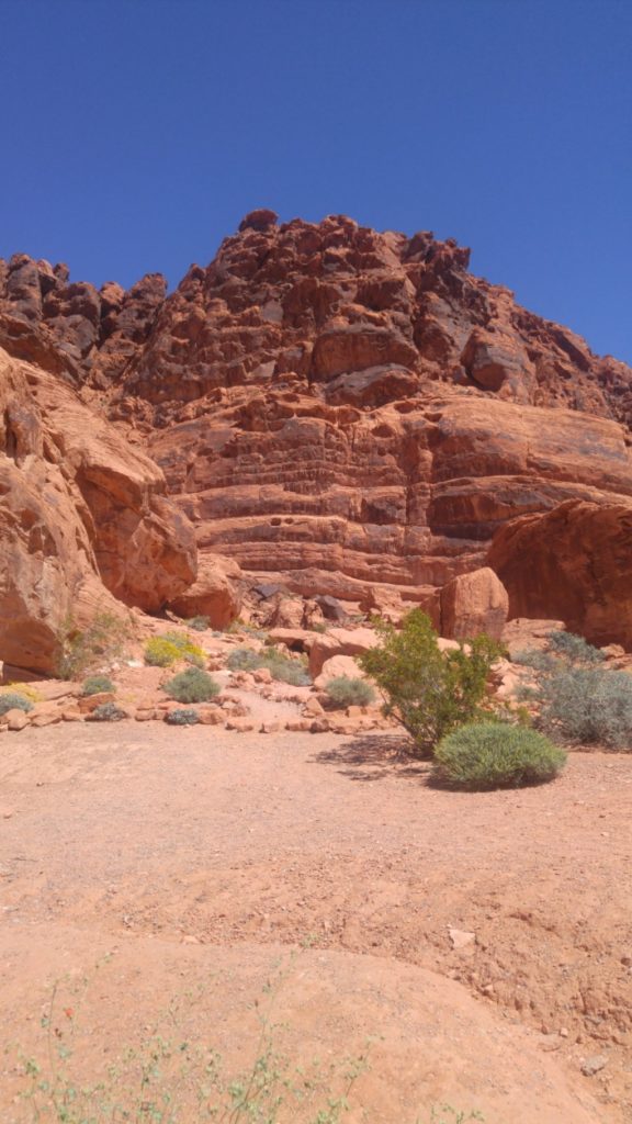 Valle del Fuego explora el parque