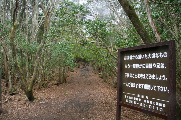 japon-arboles-suicidios-bosques-más-tenebrosos