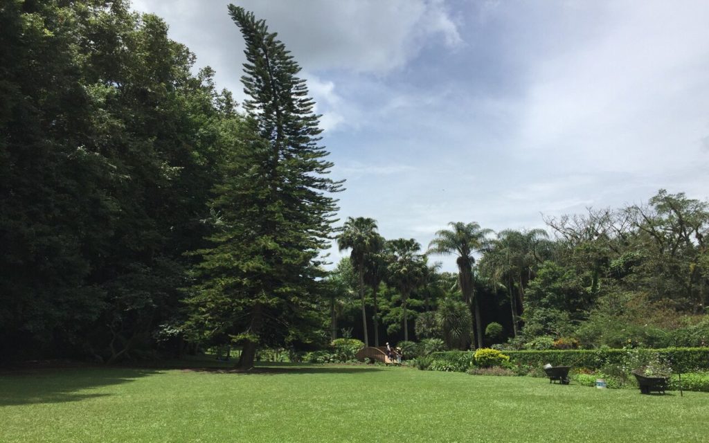 jardin botanico turismo en xalapa