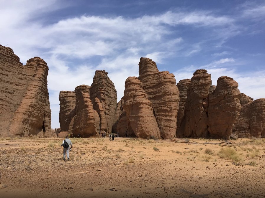 bosque piedra parque nacional tassilin ajjer