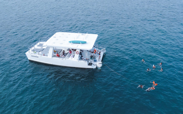 Catamarán Cetáceo, la nueva manera de navegar de Acapulco