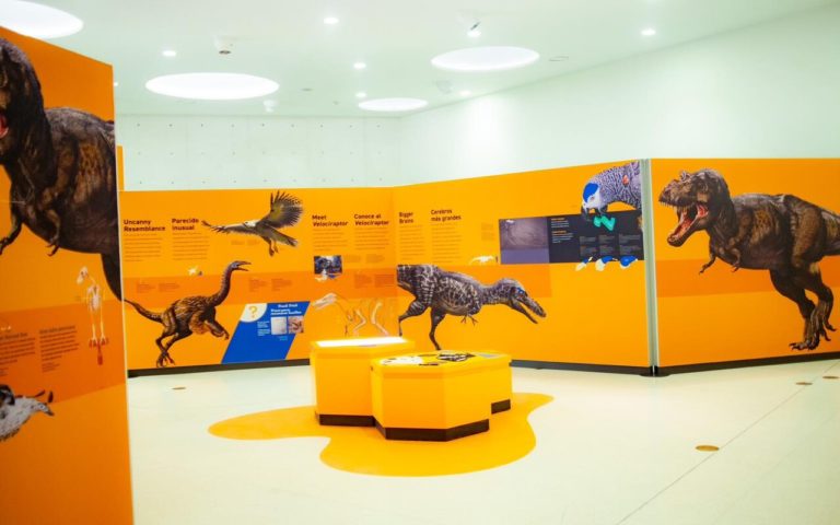 La exposición “Dinosaurios entre nosotros” llega a Monterrey