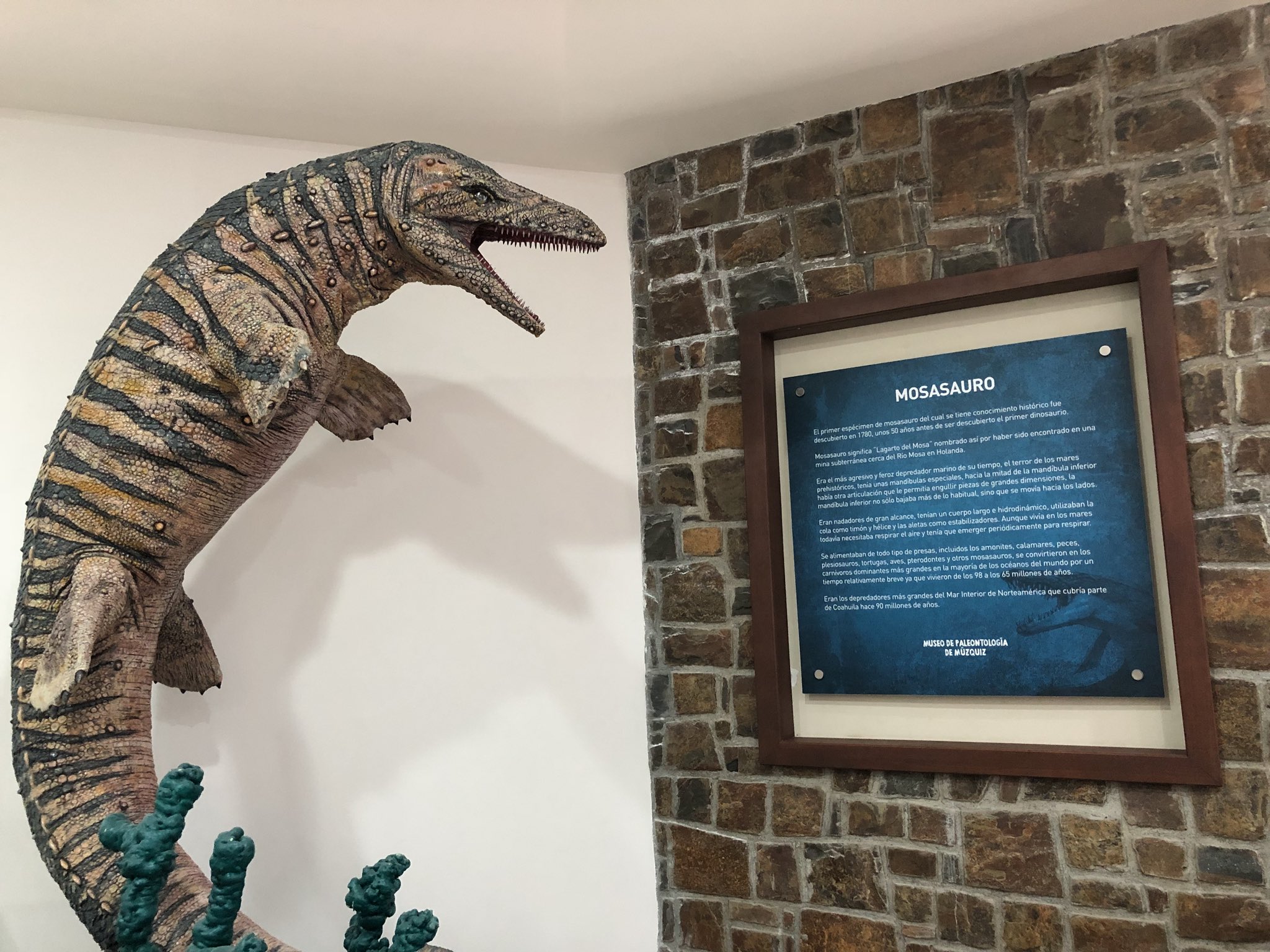 figuras del museo paleontología múzquiz