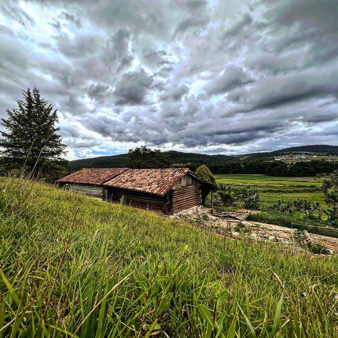 flora y fauna de tlaxiaco oaxaca