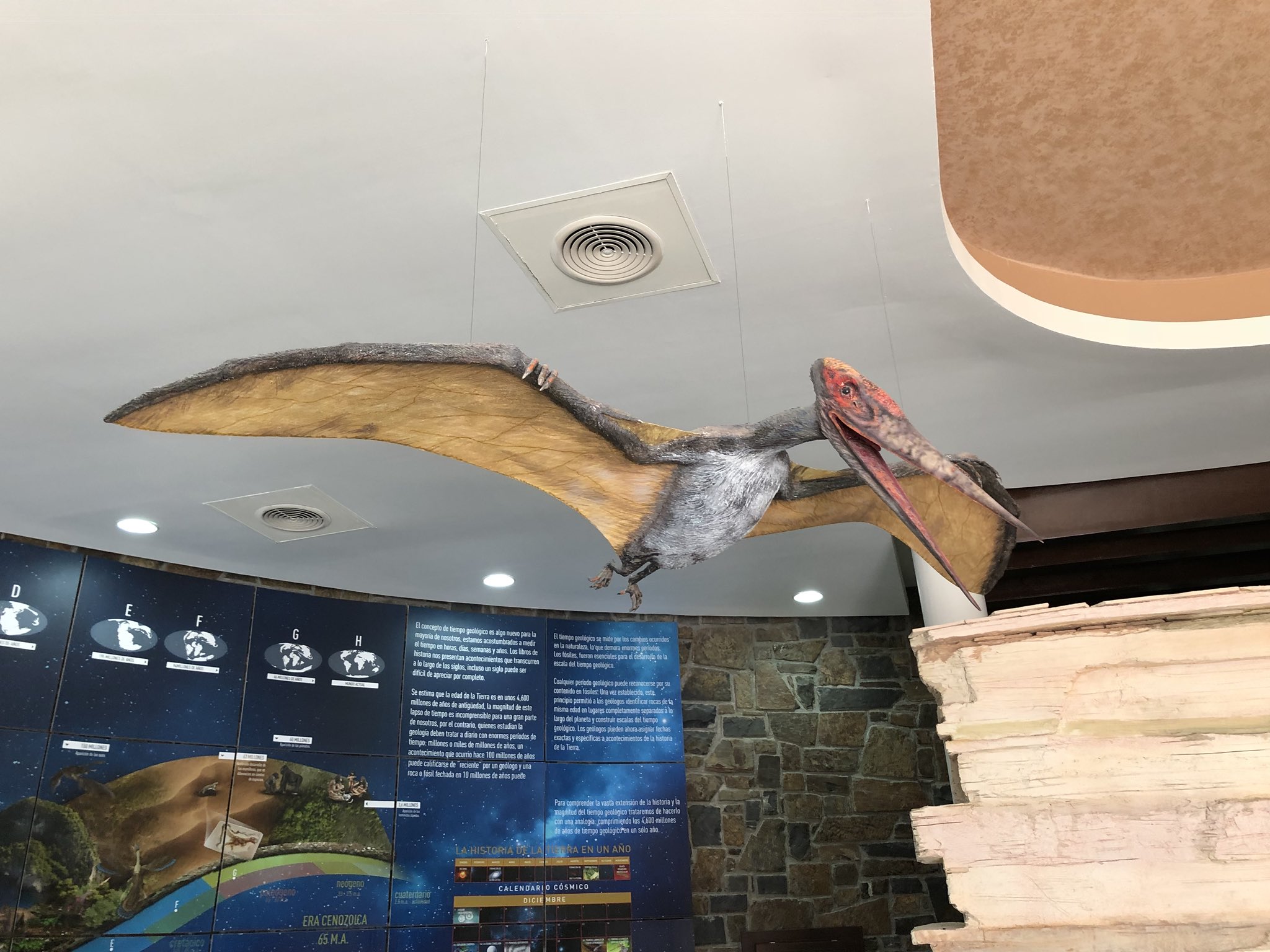 museo de paleontologia en múzquiz