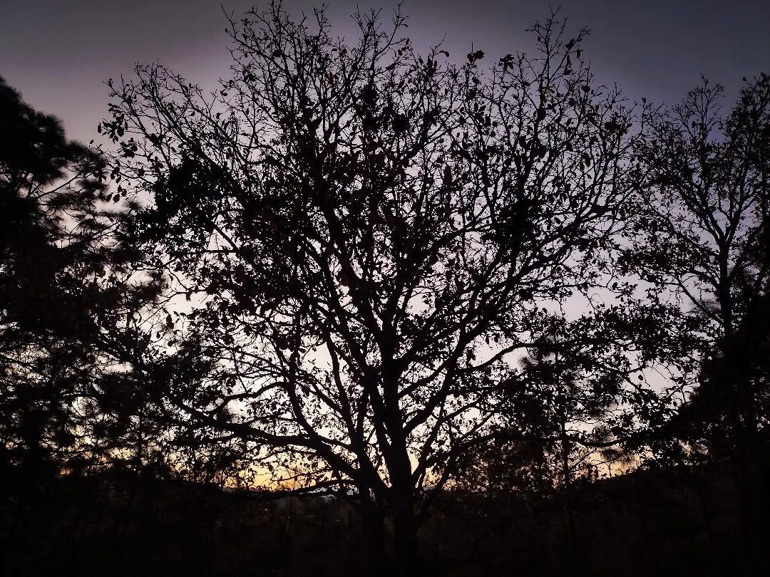 parque el calvario tlaxiaco oaxaca