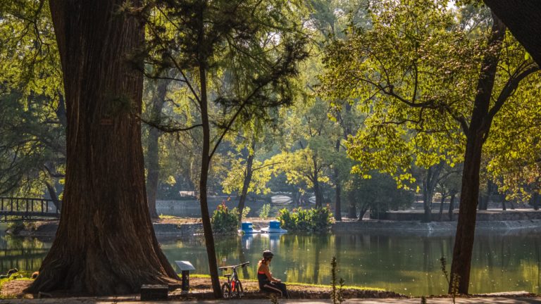 parques-urbanos-bosque-de-chapultepec