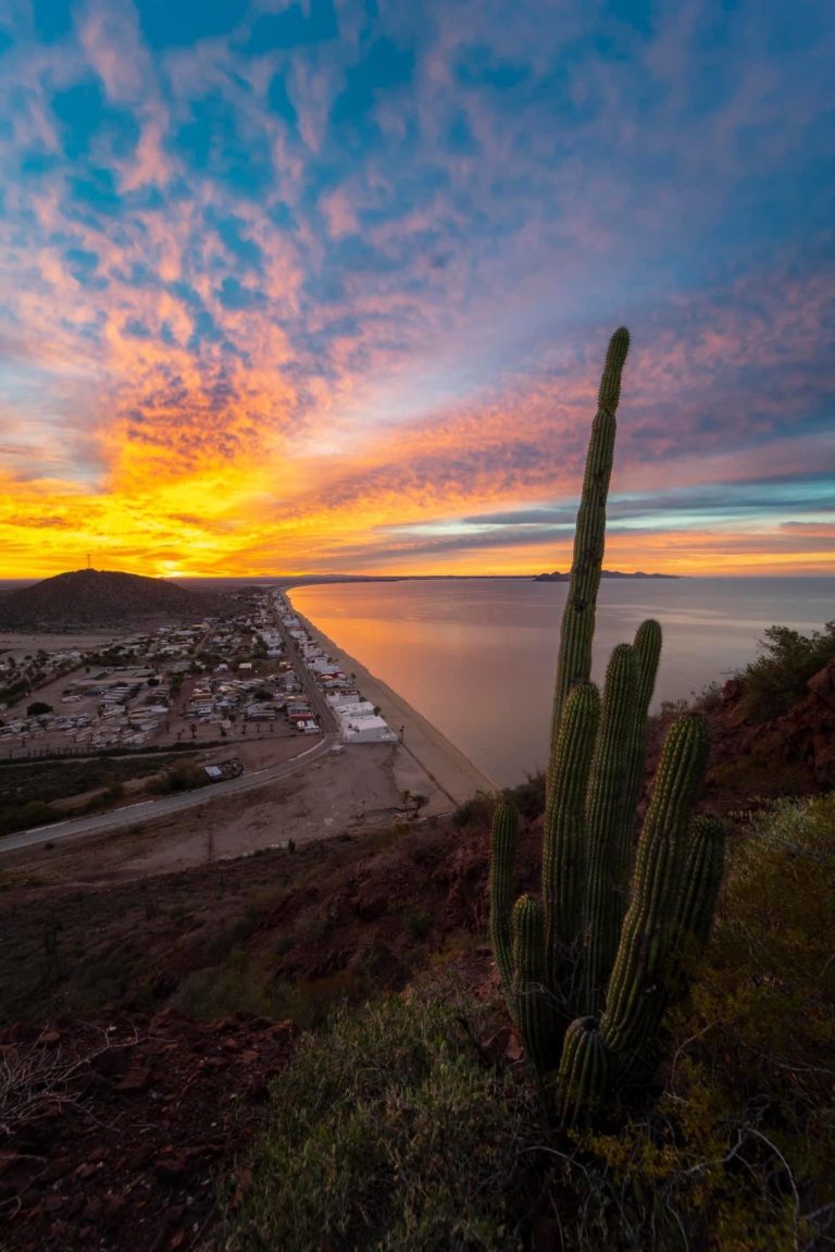 bahia-de-kino-fest-2023-hermosillo