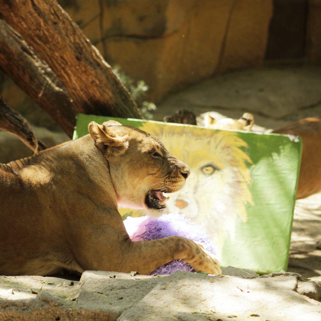 zoológicos en méxico guanajuato león