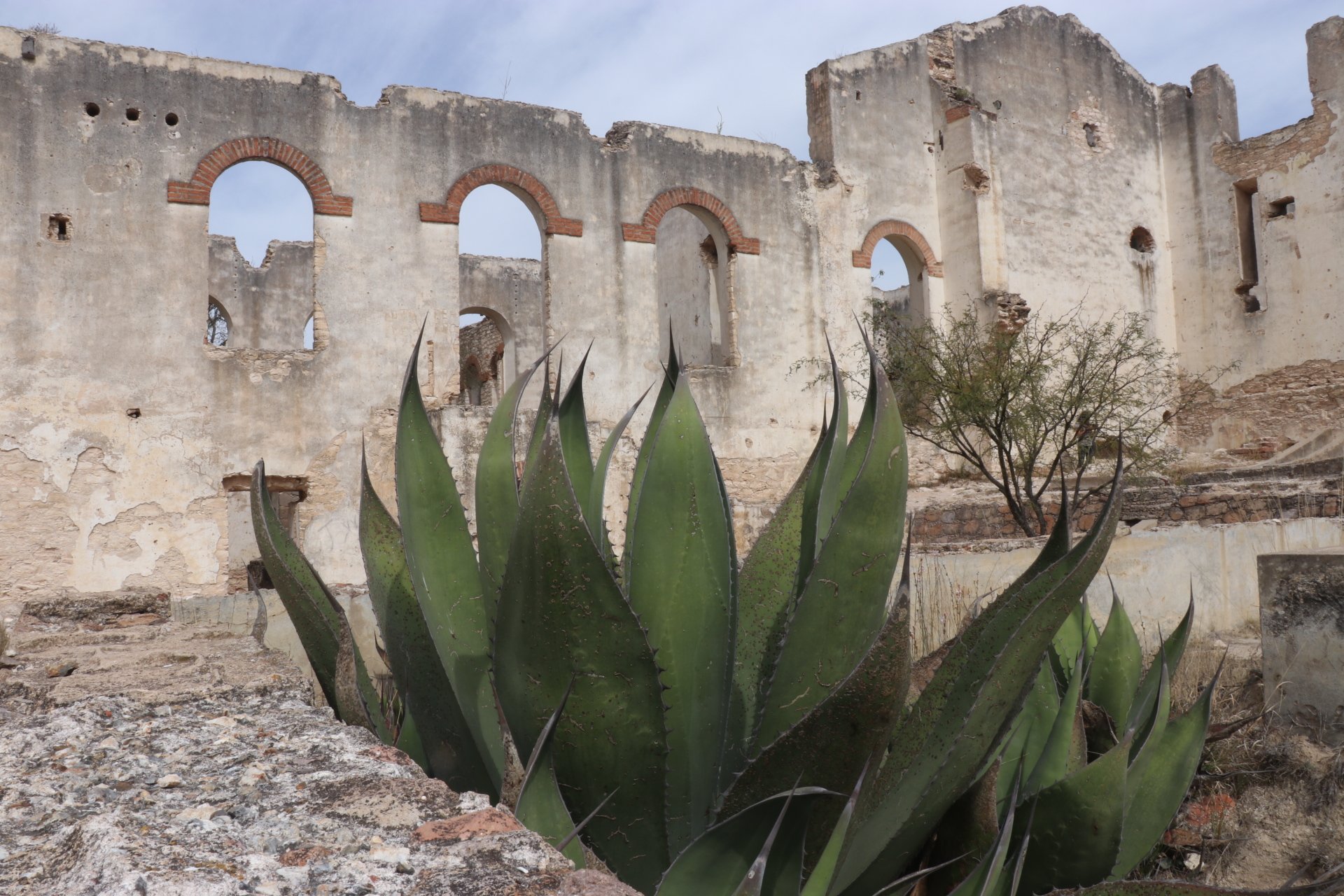 mina cinco señores mineral de pozos