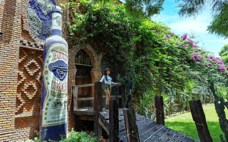 Tour de destilados en Silao y Pénjamo, Guanajuato