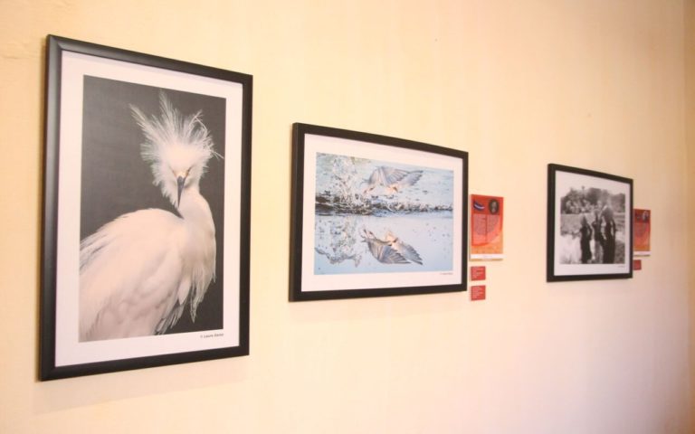 Gobierno estatal inaugura exposición “F/20 Miradas Divergentes” en honor a Elena Poniatowska