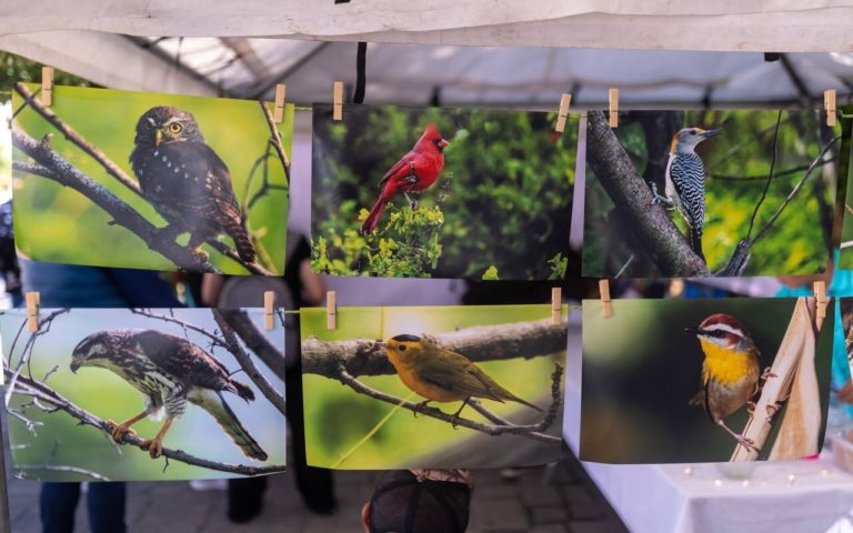 Se inaugura el Festival de las Aves del Noreste de México en Santiago