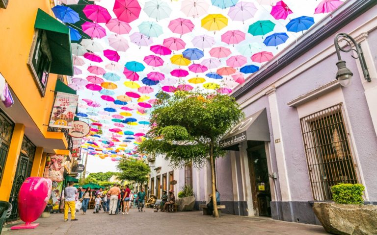 5 actividades para disfrutar tu visita a la FIL Guadalajara