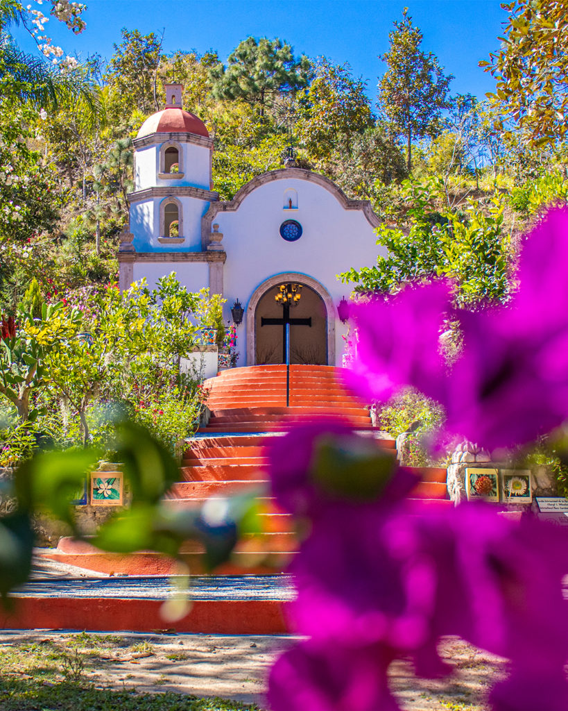 Jardín Botánico De Puerto Vallarta Un Santuario Reconocido Internacionalmente 