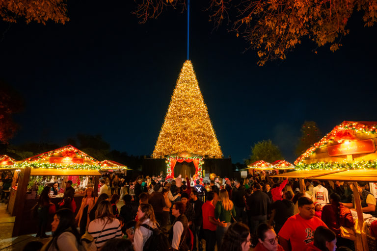 mundo-europeo-navidalia-jalisco-guadalajara