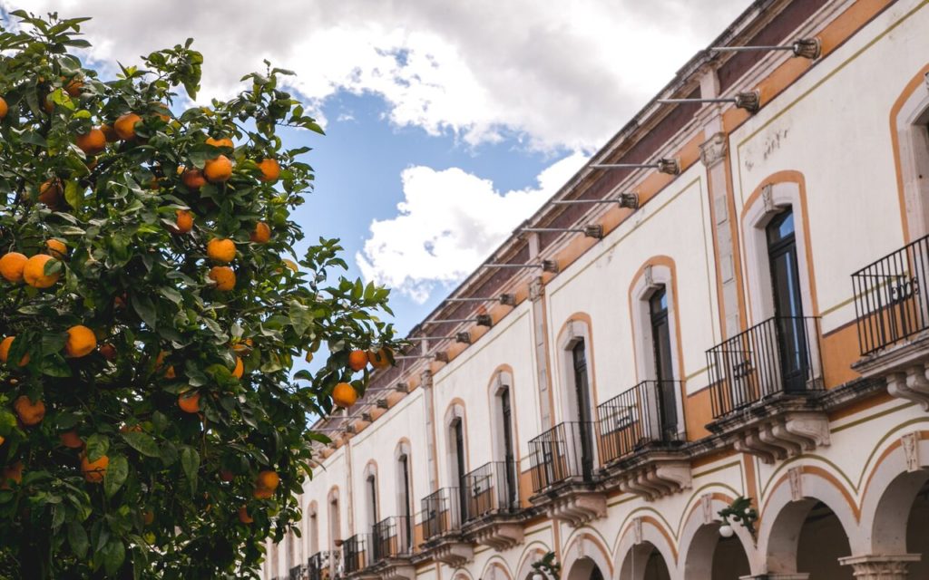 teúl pueblo magico de zacatecas