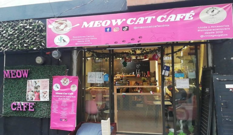 cafeterías-en-méxico-fachada-meow-café