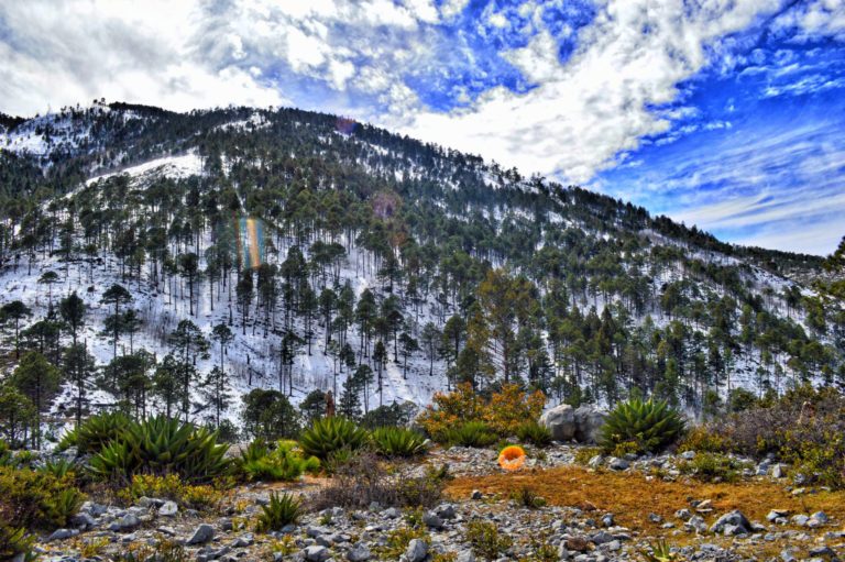El Cerro del Potosí: el paisaje nevado más impresionante en el punto más alto de Nuevo León