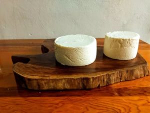 proceso queso adobera de jalisco