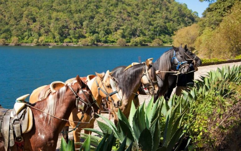 Pueblos Mágicos para dar paseos en caballos en Jalisco