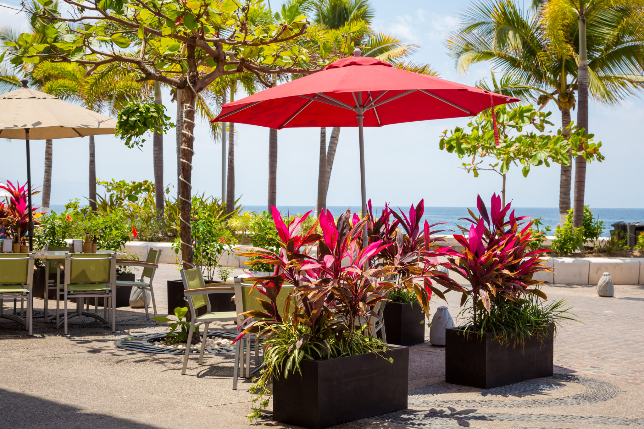 restaurantes de puerto vallarta guia gastronomia