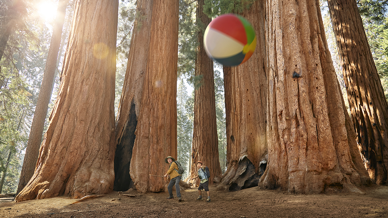 sequoia lugar definitivo de diversión california