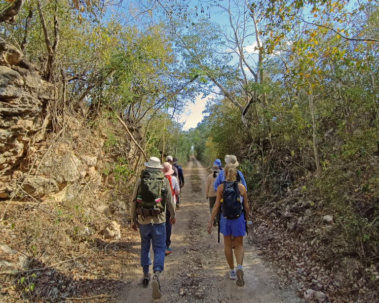Camino del Mayab: lánzate a una aventura extrema en Yucatán