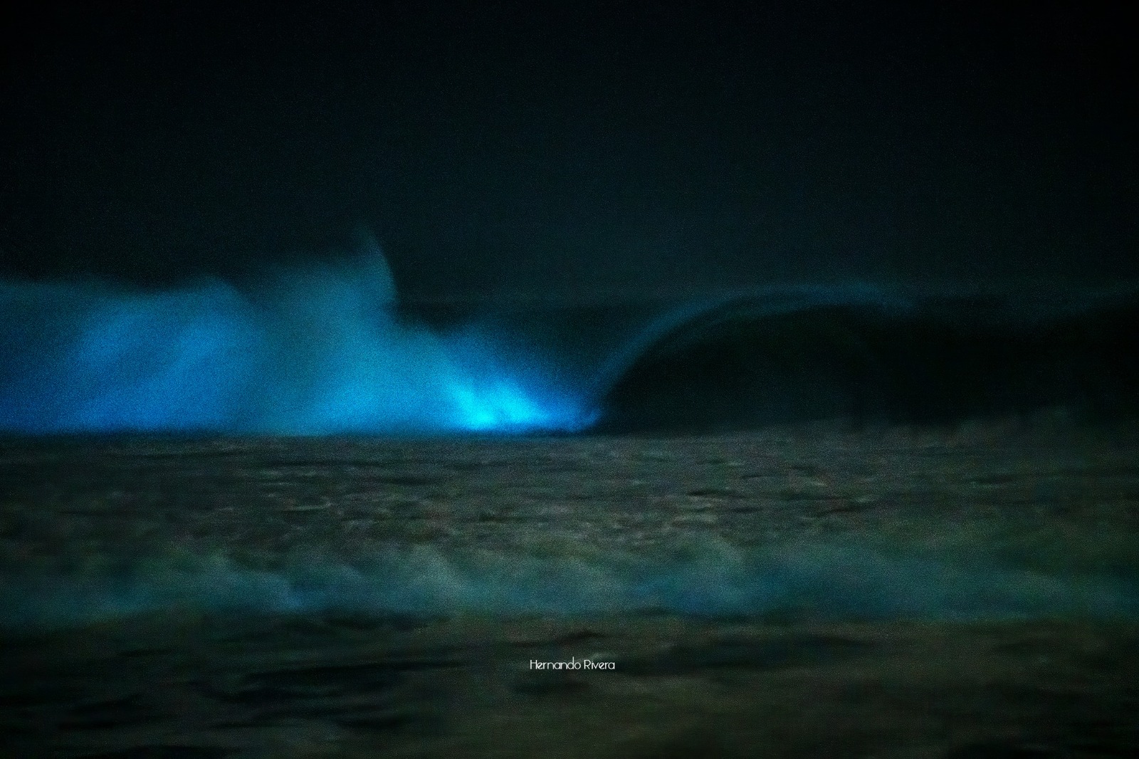 playas de colima bioluminiscencia naturaleza
