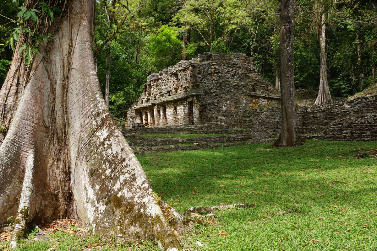 rutas en chiapas zona arqueológica yaxchilán