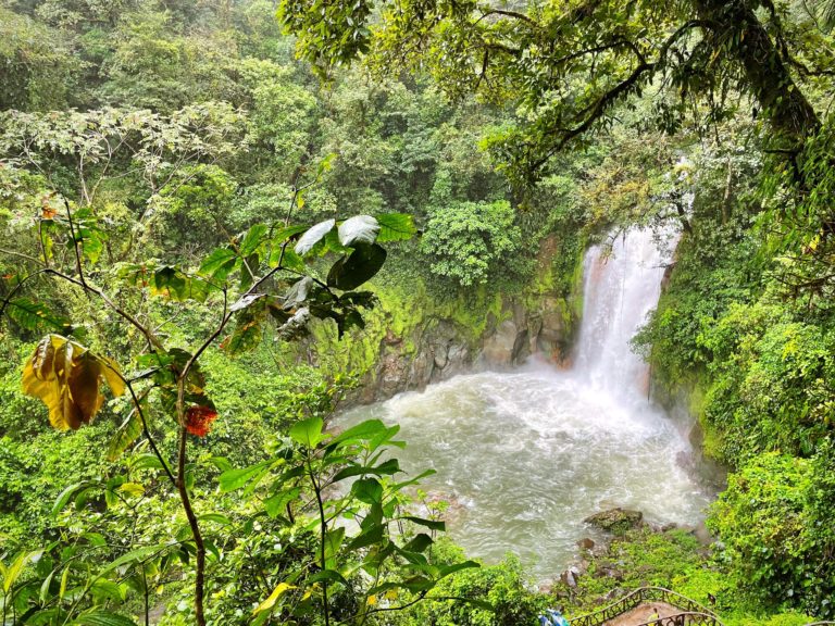 turismo-en-costa-rica-bosque-nuboso