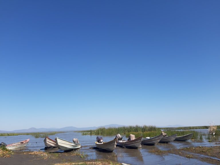 Tepehuaje, Jalisco: pesca a las orillas de un bello lago