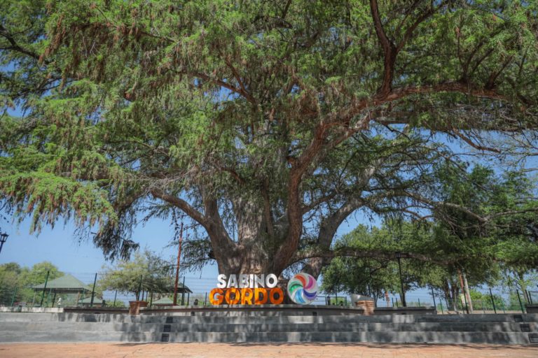 Parque Sabino Gordo, nombrado de las 7 maravillas de Nuevo León