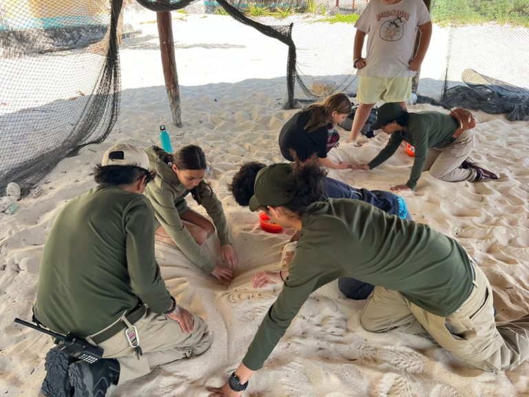 Eco-Bahía México y PAM Academy se unen para promover la conservación de las tortugas marinas