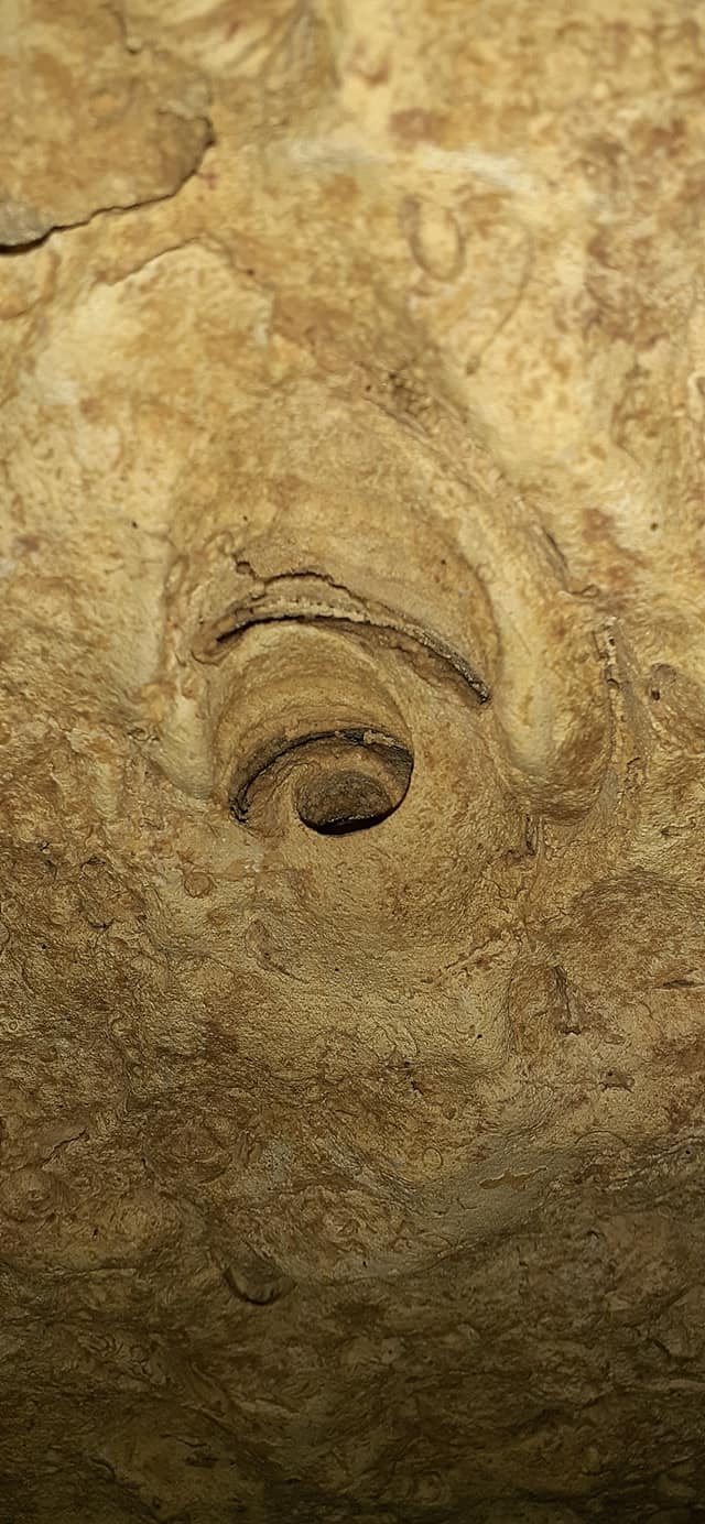 cueva-de-las-serpientes-colgantes-fosiles