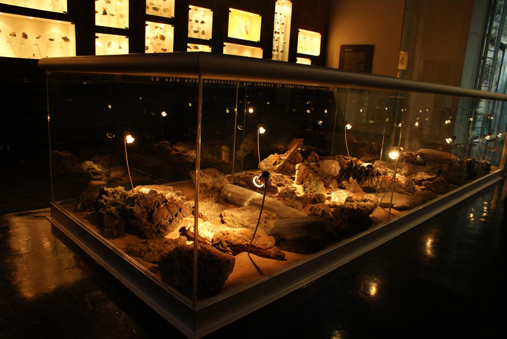 museos en guadalajara jalisco paleontologia