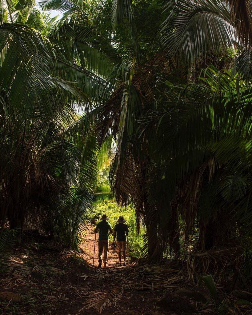 Nauka Lujo Y Exclusividad En Un Para So Natural En Nayarit