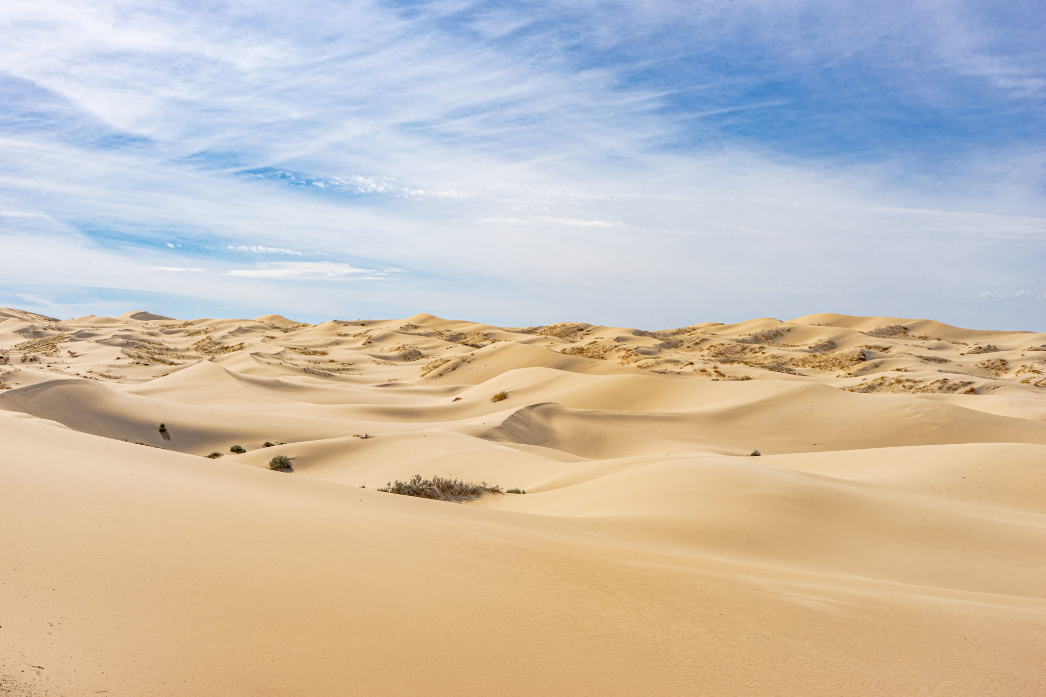 dunas de samalayuca-chihuahua qué hacer atractivos