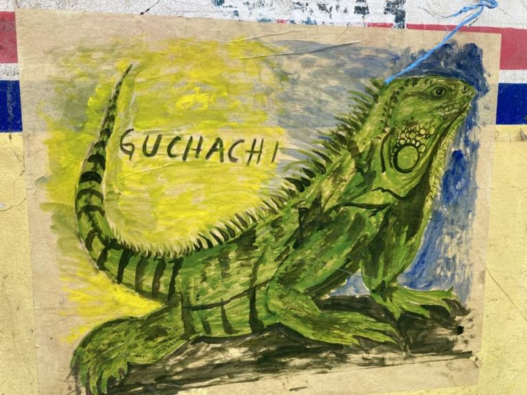 iguanario-juchitán-de-zaragoza-oaxaca