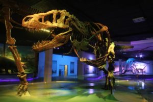 museos de puebla talleres actividades