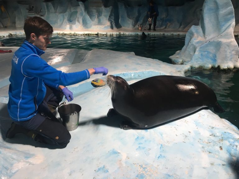 acuario-polaria-qué-hacer-en-tromsø